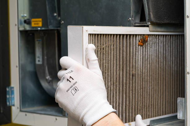 Best Air Quality Test  in Rotan, TX
